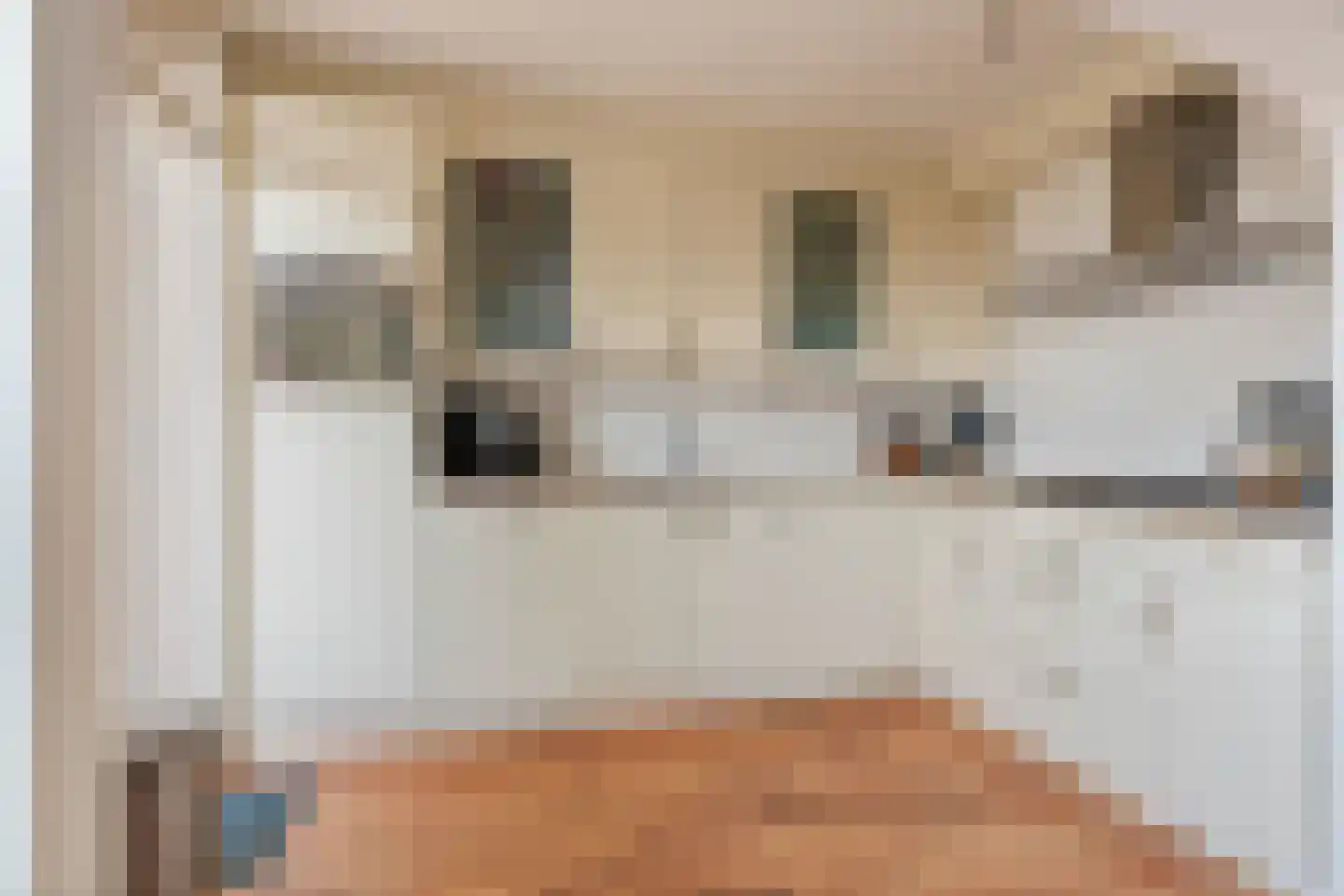 Ridder Alartlaan 24 Buren thumbnail 13