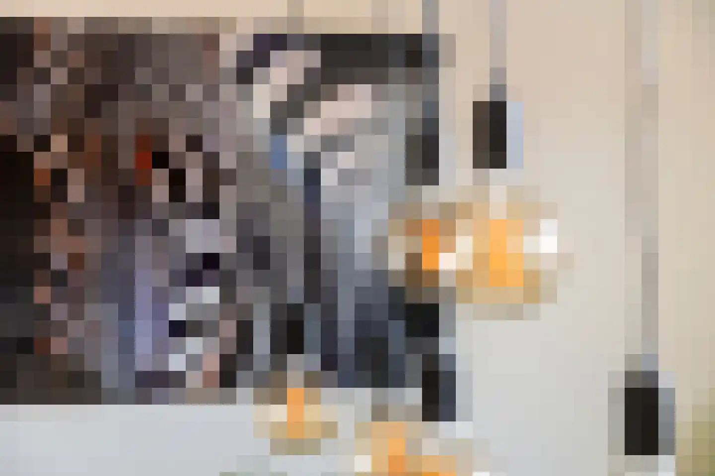 Ridder Alartlaan 24 Buren thumbnail 18