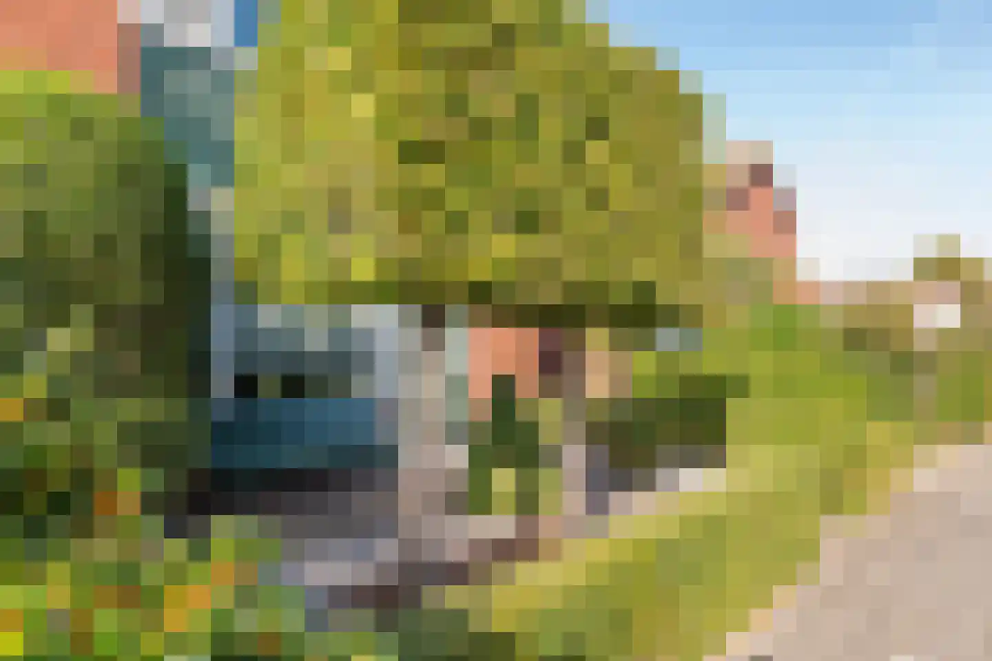 Ridder Alartlaan 24 Buren thumbnail 38
