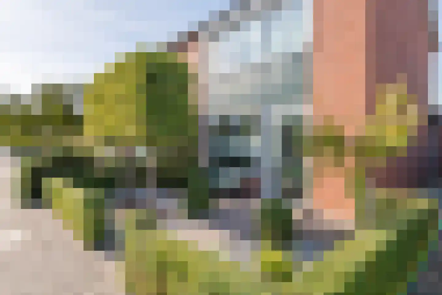 Ridder Alartlaan 24 Buren thumbnail 39