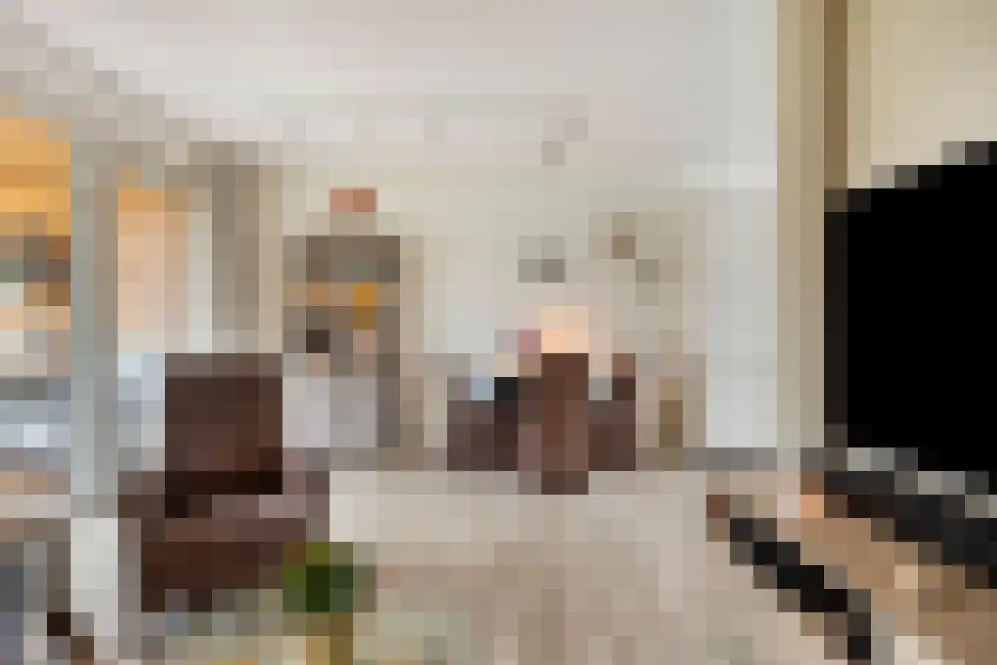 Ridder Alartlaan 50 Buren thumbnail 10