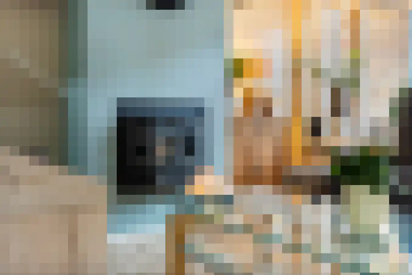 Ridder Alartlaan 50 Buren thumbnail 11