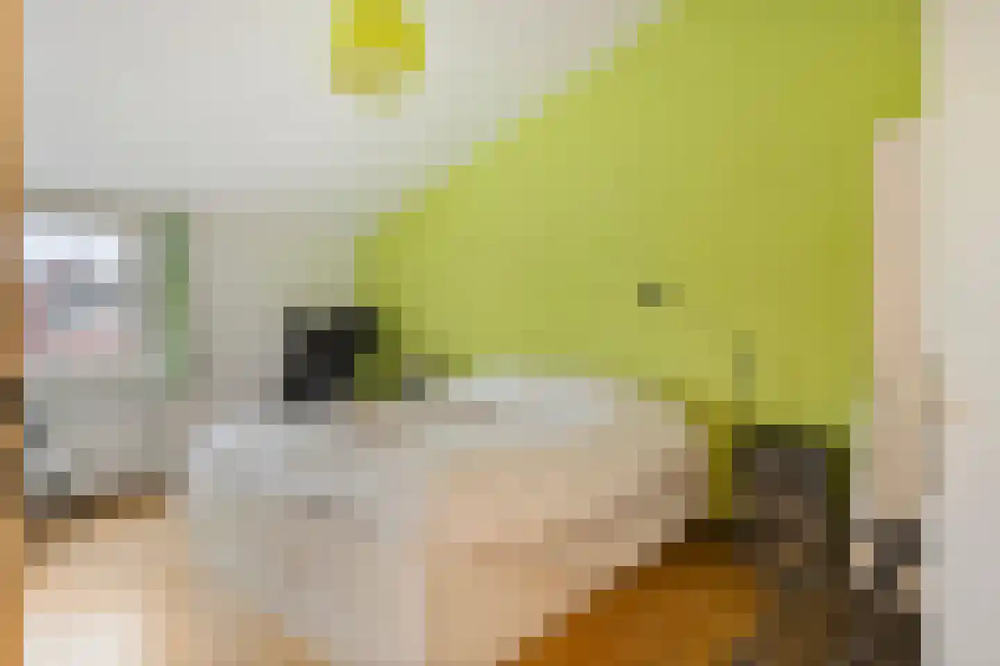 Ridder Alartlaan 50 Buren thumbnail 17