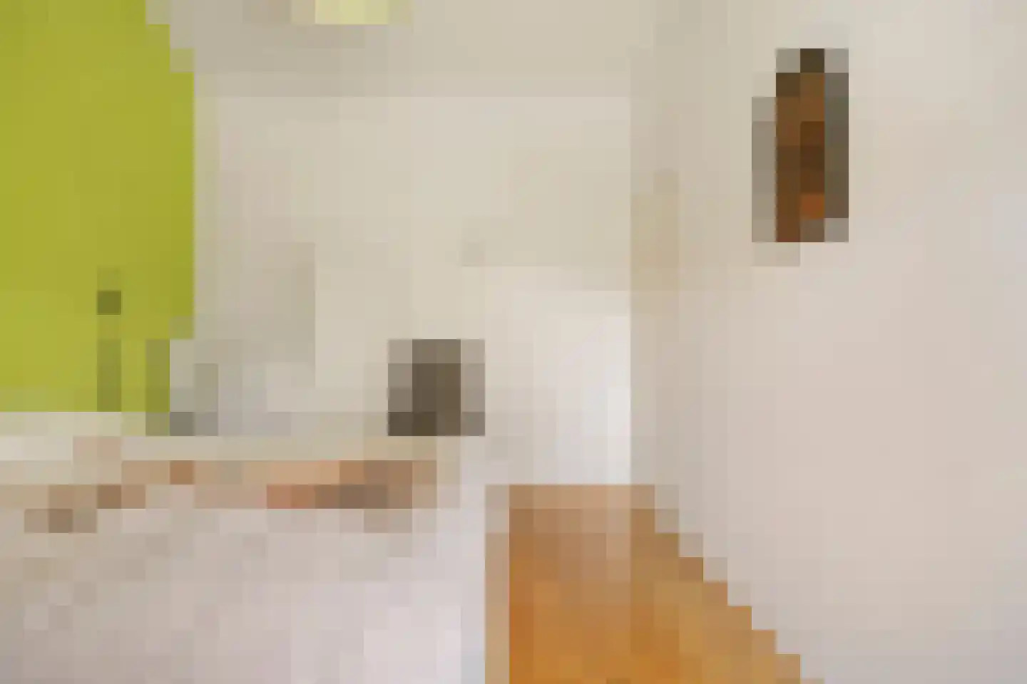 Ridder Alartlaan 50 Buren thumbnail 18