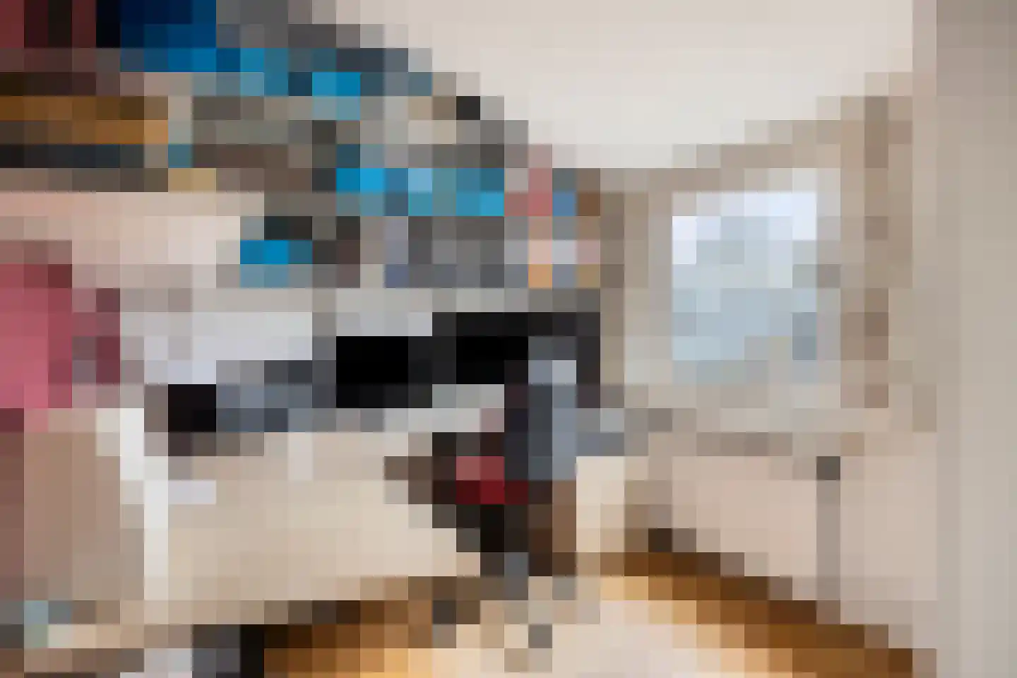 Ridder Alartlaan 50 Buren thumbnail 21