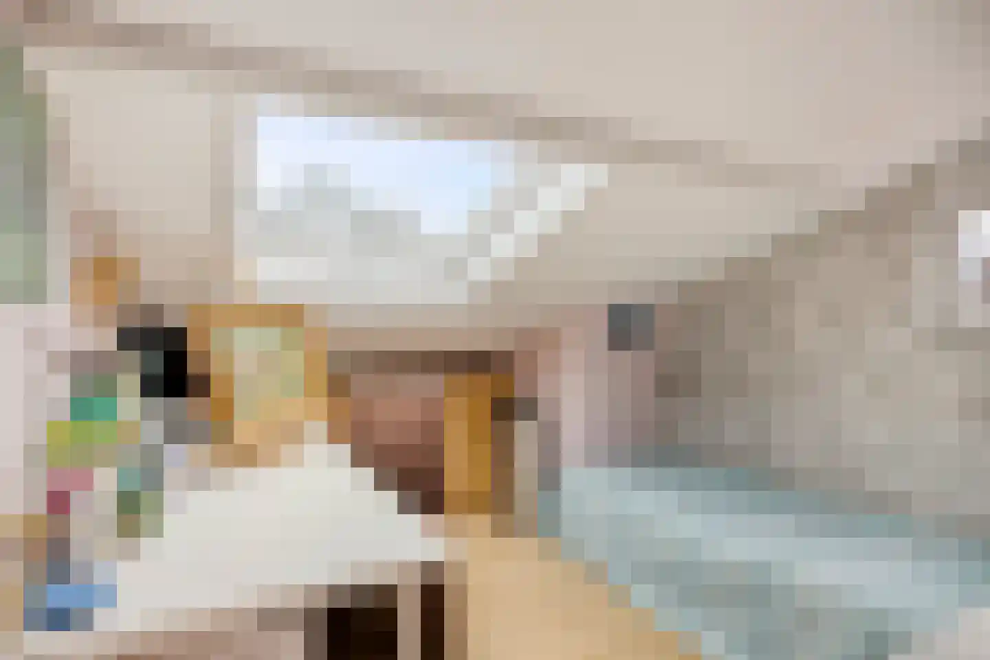 Ridder Alartlaan 50 Buren thumbnail 23