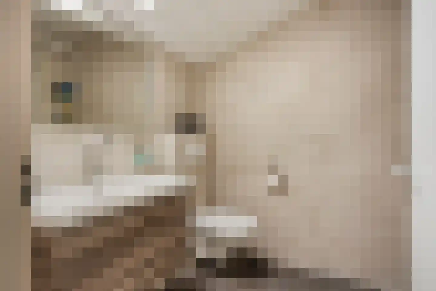 Ridder Alartlaan 50 Buren thumbnail 25
