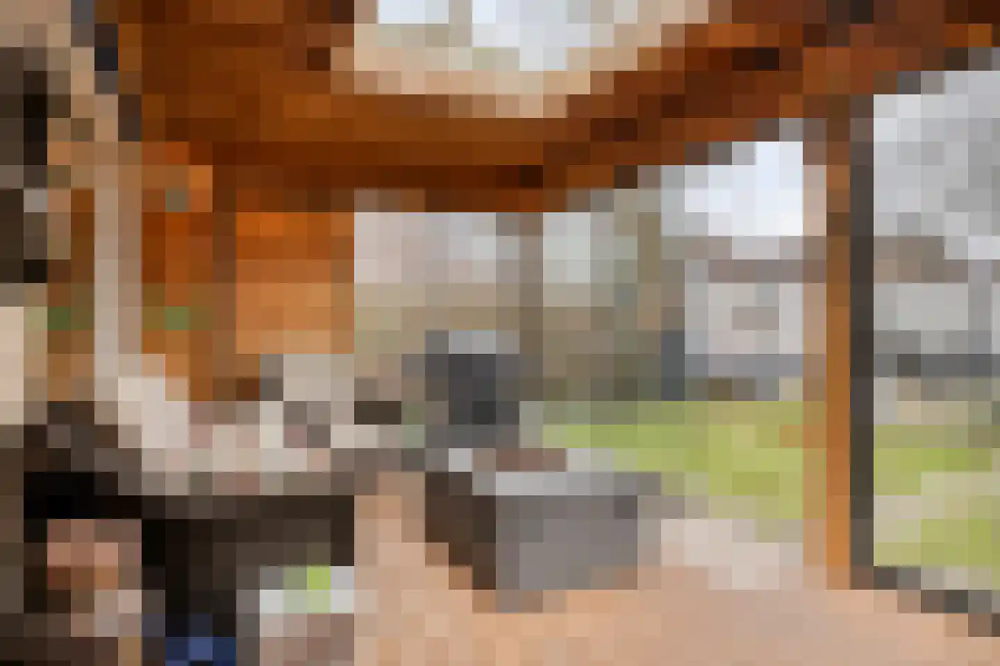 Ridder Alartlaan 50 Buren thumbnail 28