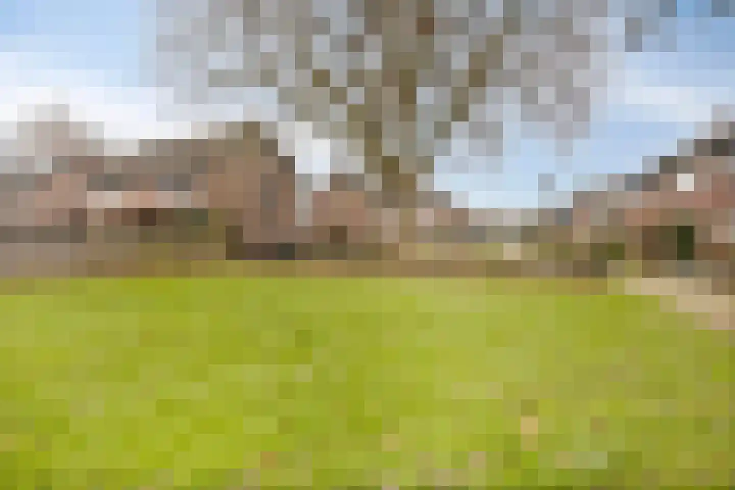 Ridder Alartlaan 50 Buren thumbnail 38