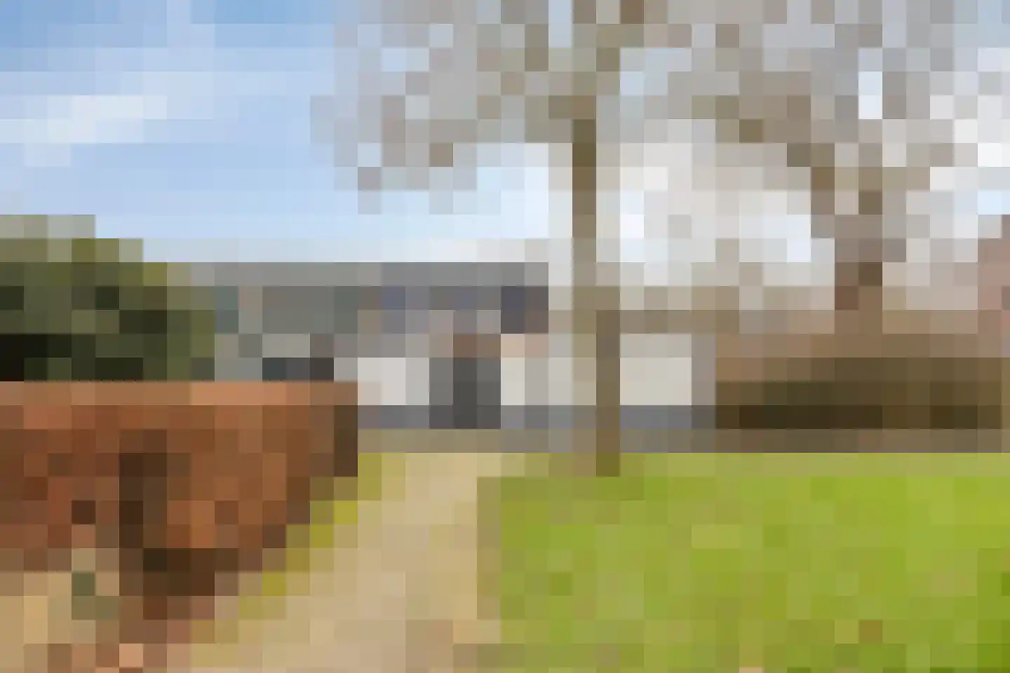 Ridder Alartlaan 50 Buren thumbnail 39