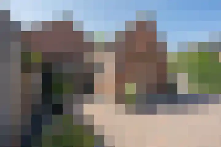 Ridder Alartlaan 8 Buren thumbnail 10