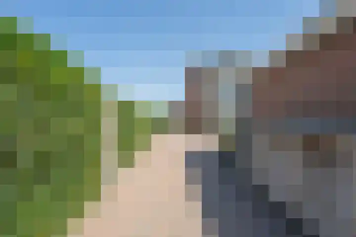 Ridder Alartlaan 8 Buren thumbnail 12
