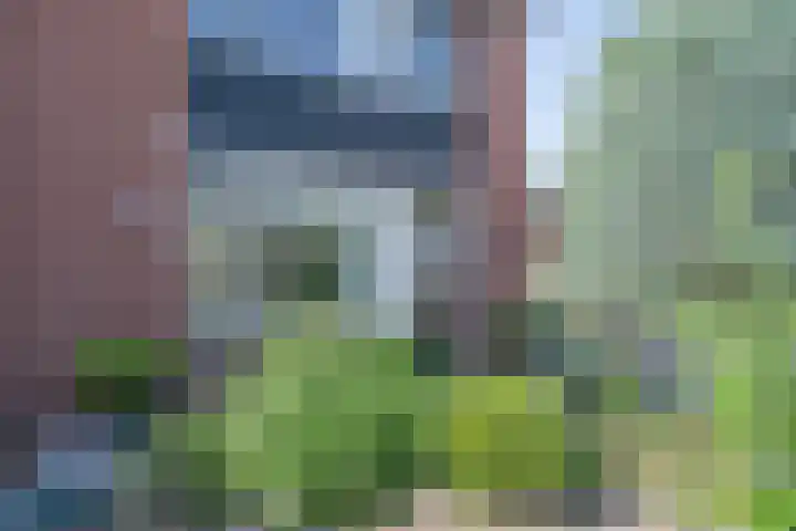 Ridder Alartlaan 8 Buren thumbnail 18