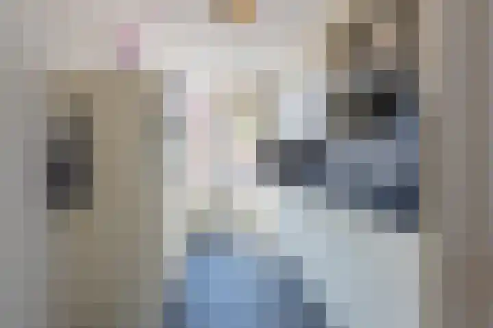 Ridder Alartlaan 8 Buren thumbnail 28