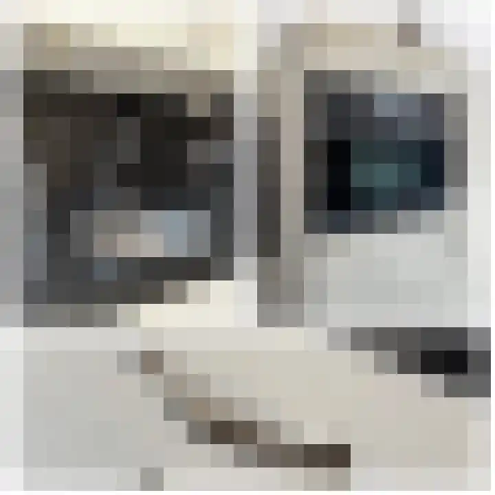 Ridder Alartlaan 8 Buren thumbnail 31