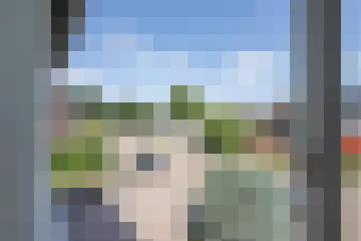 Ridder Alartlaan 8 Buren thumbnail 36