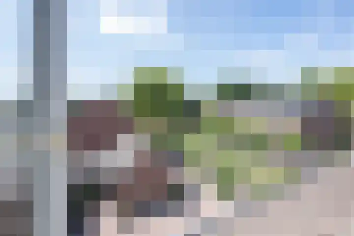 Ridder Alartlaan 8 Buren thumbnail 40