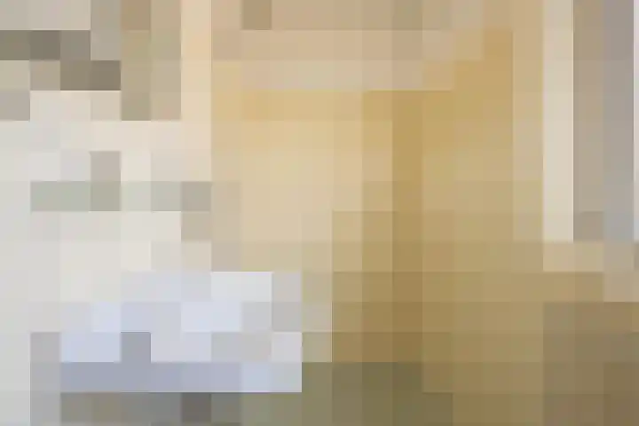 Ridder Alartlaan 8 Buren thumbnail 43
