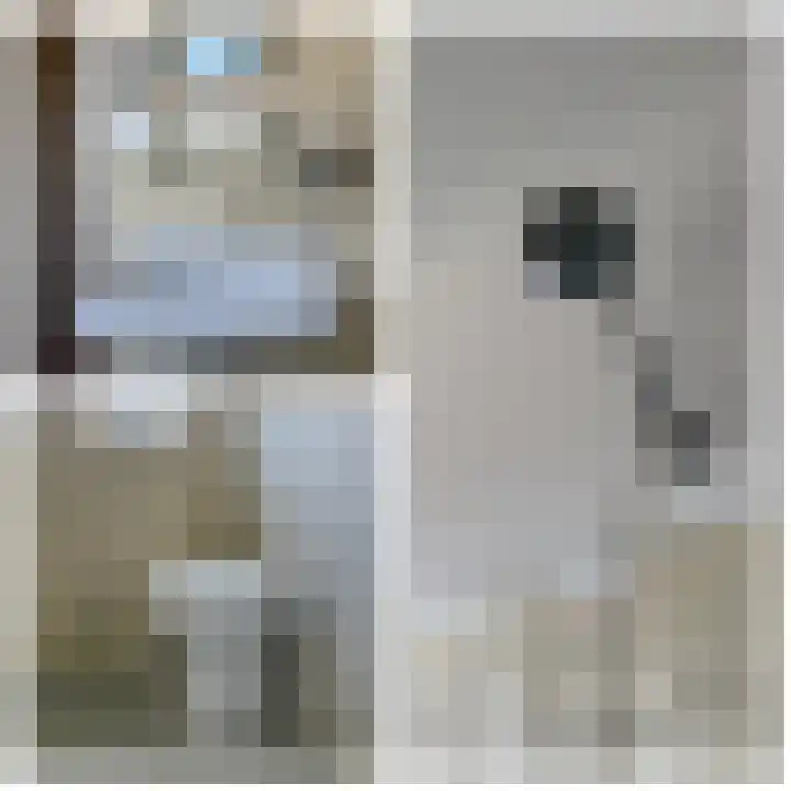 Ridder Alartlaan 8 Buren thumbnail 45