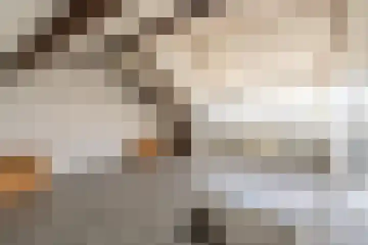 Ridder Alartlaan 8 Buren thumbnail 46