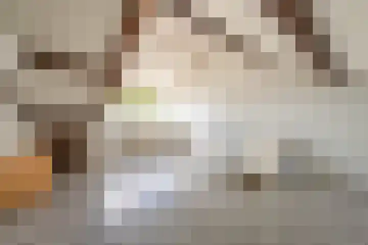 Ridder Alartlaan 8 Buren thumbnail 47