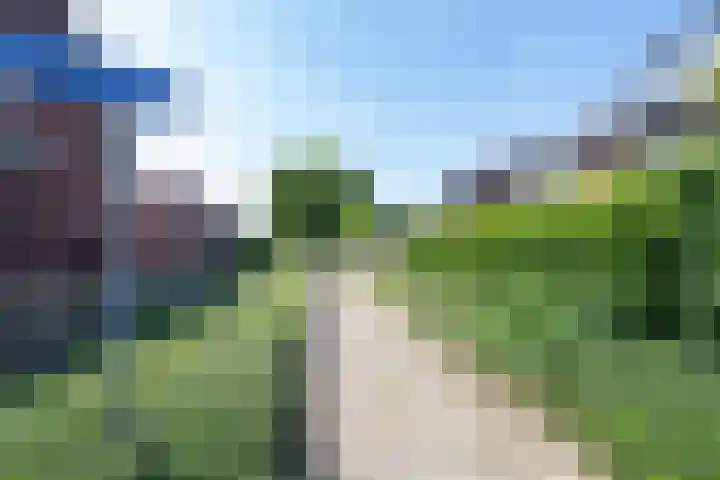 Ridder Alartlaan 8 Buren thumbnail 49