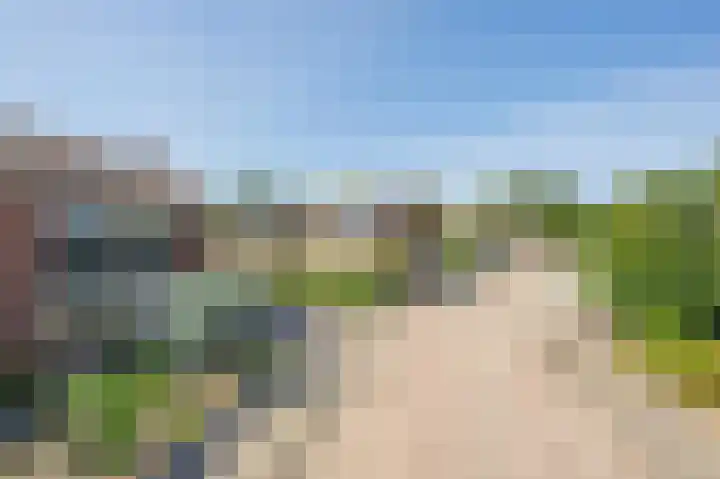 Ridder Alartlaan 8 Buren thumbnail 5