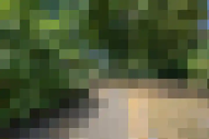 Ridder Alartlaan 8 Buren thumbnail 51