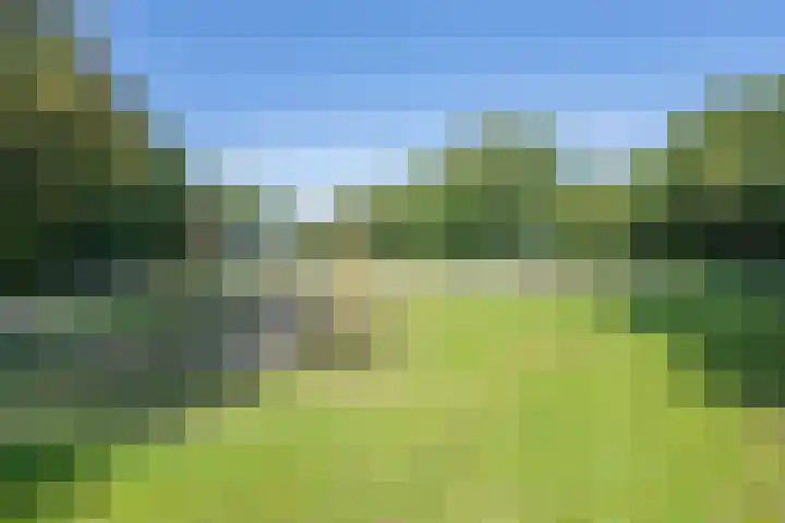 Ridder Alartlaan 8 Buren thumbnail 52