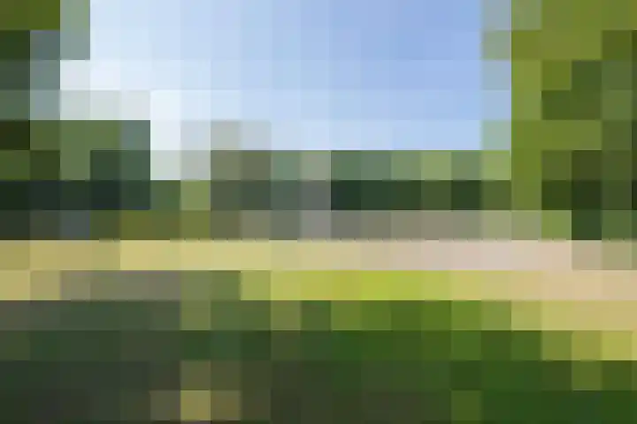 Ridder Alartlaan 8 Buren thumbnail 53
