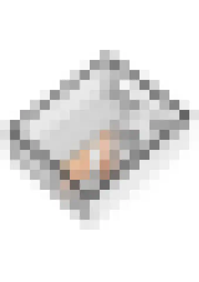Ridder Alartlaan 8 Buren thumbnail 57