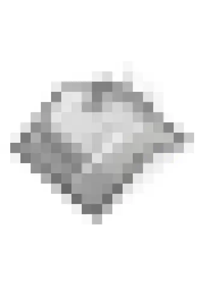 Ridder Alartlaan 8 Buren thumbnail 61