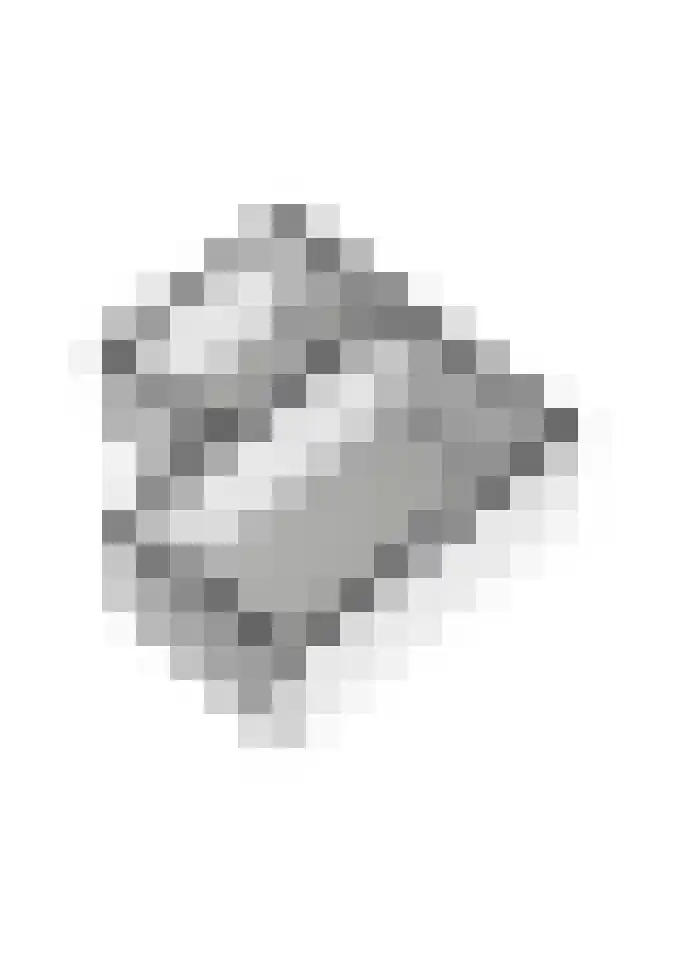 Ridder Alartlaan 8 Buren thumbnail 63