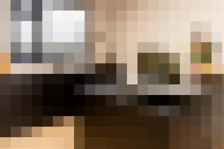 Ridder Alartlaan 92 Buren thumbnail 10