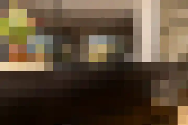 Ridder Alartlaan 92 Buren thumbnail 12