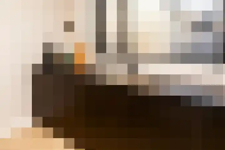 Ridder Alartlaan 92 Buren thumbnail 13