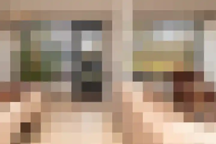 Ridder Alartlaan 92 Buren thumbnail 15