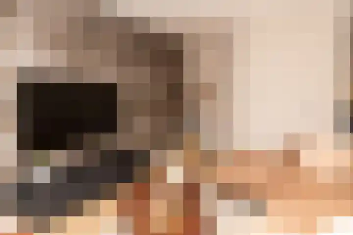 Ridder Alartlaan 92 Buren thumbnail 17