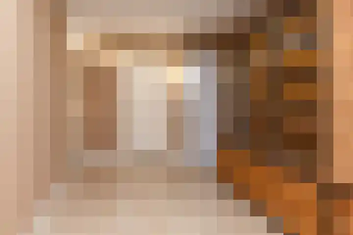 Ridder Alartlaan 92 Buren thumbnail 24