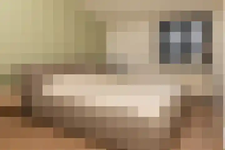 Ridder Alartlaan 92 Buren thumbnail 27