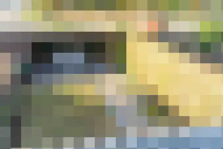 Ridder Alartlaan 92 Buren thumbnail 29