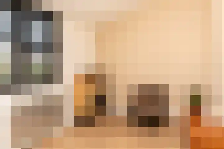 Ridder Alartlaan 92 Buren thumbnail 30