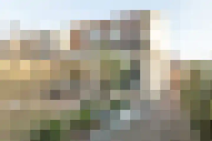 Ridder Alartlaan 92 Buren thumbnail 39