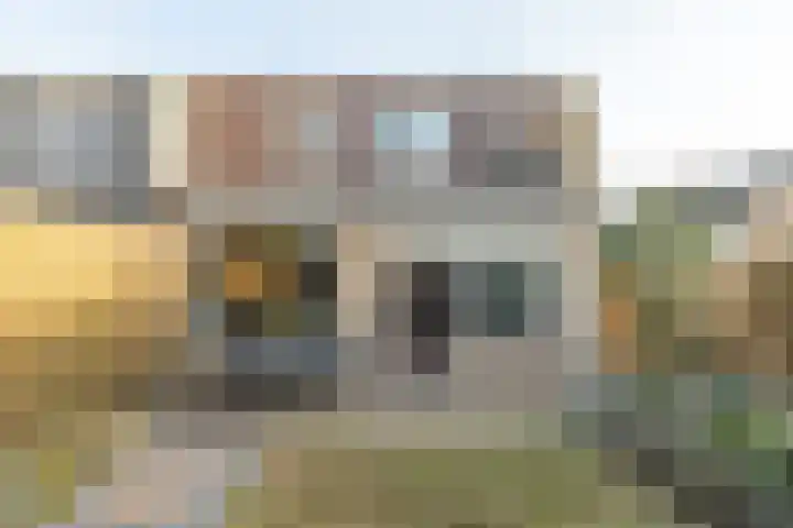 Ridder Alartlaan 92 Buren thumbnail 40