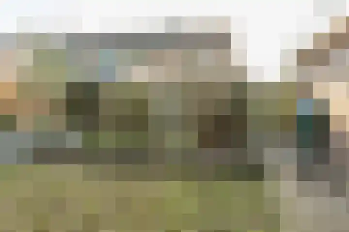 Ridder Alartlaan 92 Buren thumbnail 41