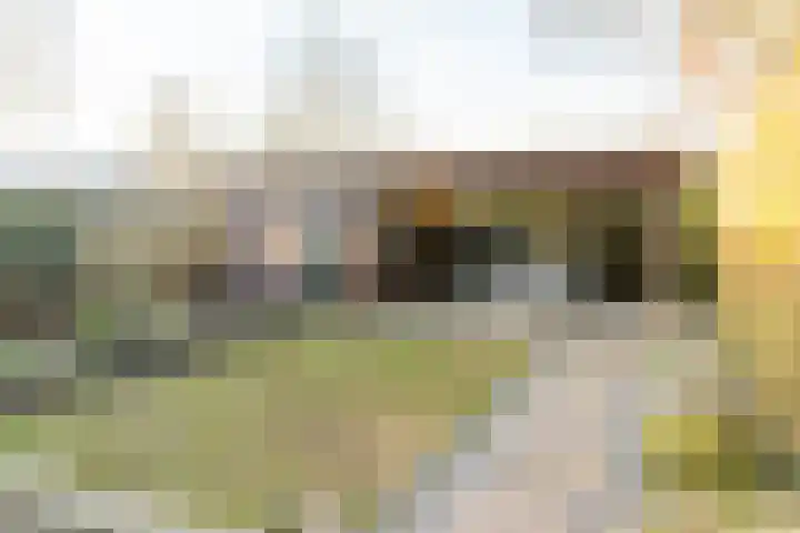 Ridder Alartlaan 92 Buren thumbnail 42