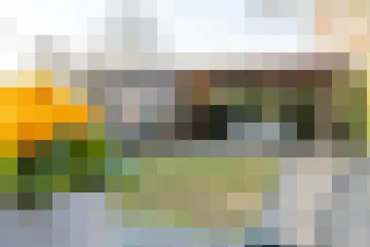 Ridder Alartlaan 92 Buren thumbnail 43