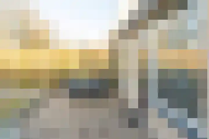Ridder Alartlaan 92 Buren thumbnail 46