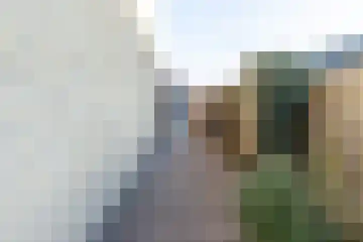 Ridder Alartlaan 92 Buren thumbnail 47