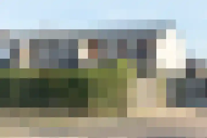 Ridder Alartlaan 92 Buren thumbnail 49